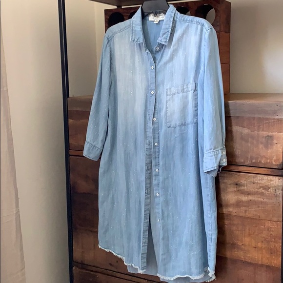 Anthropologie Dresses & Skirts - Cloth and Stone Chambray Dress